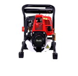 Power Sprayer PPS-31 ,GM